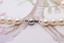 Load image into Gallery viewer, 18ct White Gold, Freshwater White Pearl Necklace
