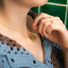 Load image into Gallery viewer, Wild Swimming Medallion Necklace, Gold
