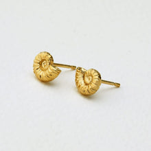 Load image into Gallery viewer, Ammonite Stud Earrings Gold
